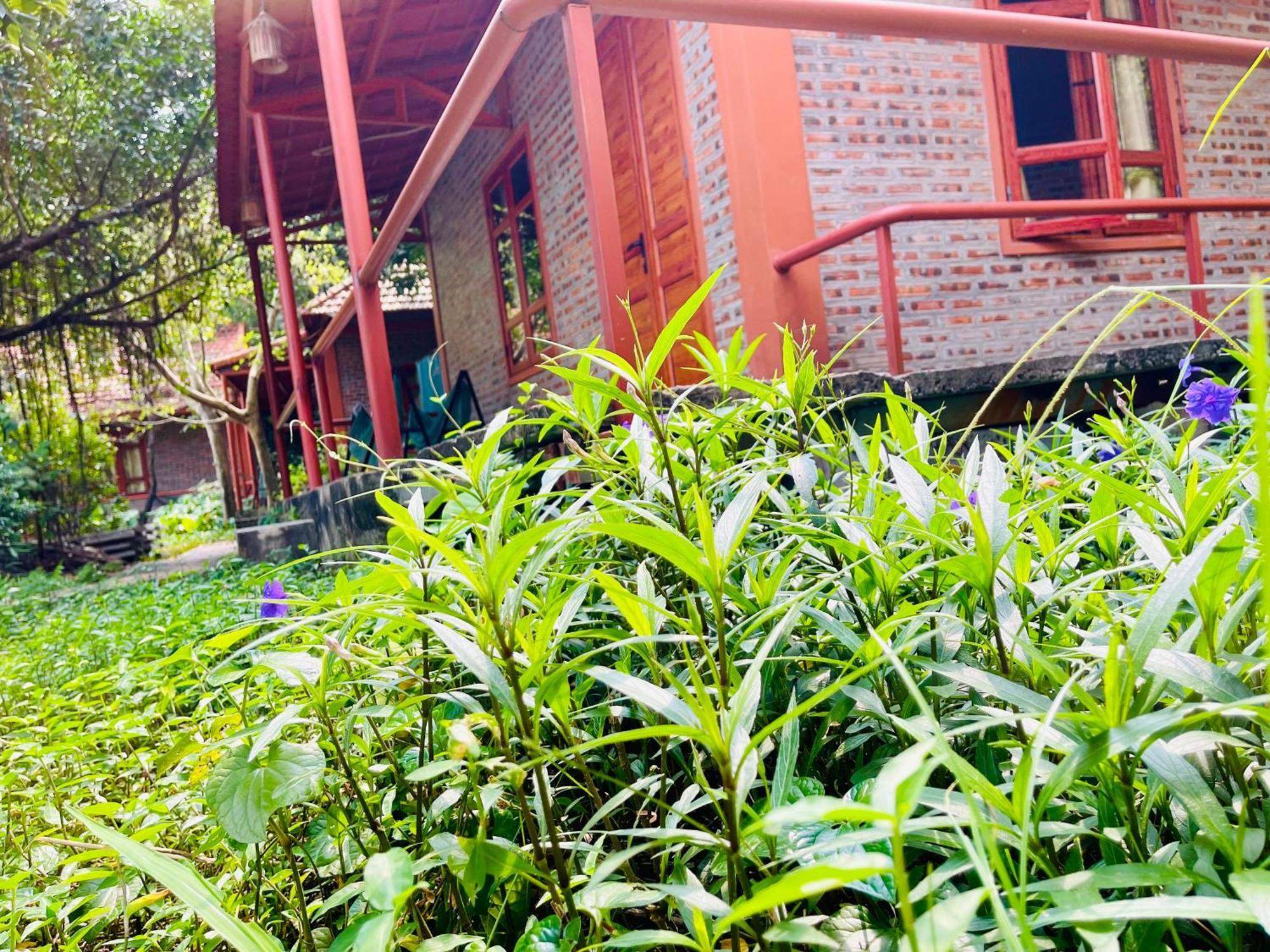 Trang An Lotus Lake Homestay Ninh Binh Exterior foto
