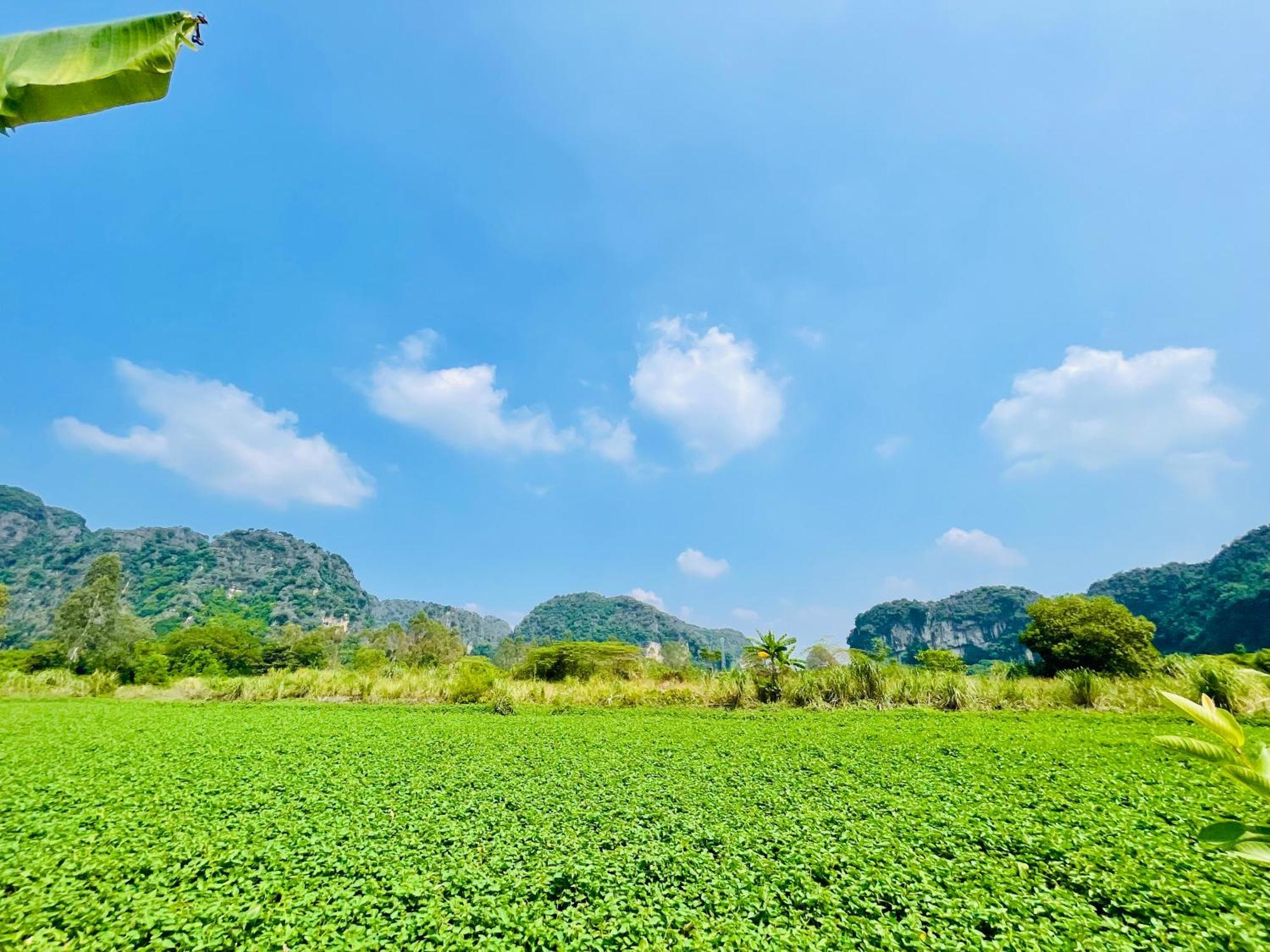 Trang An Lotus Lake Homestay Ninh Binh Exterior foto